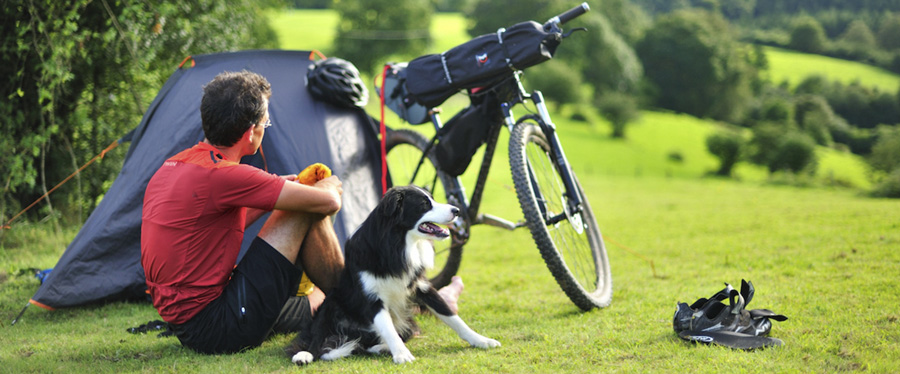 Las vacaciones más perrunas, en Valonia 